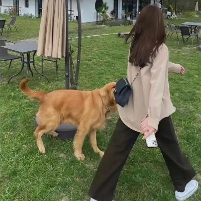 营地藏身处 在线观看